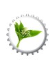 Muguet