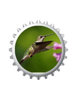 Colibri 2