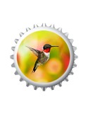 Colibri